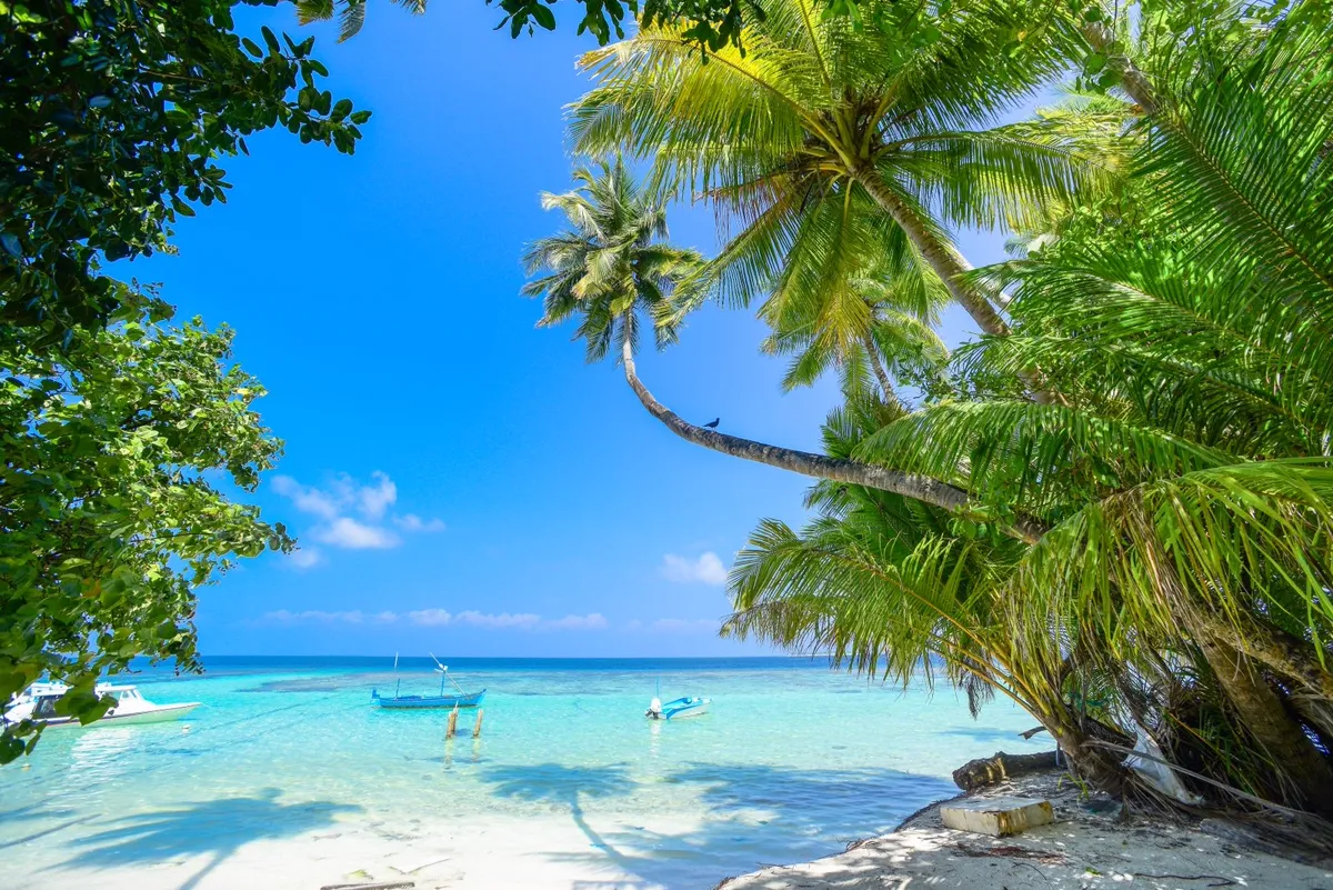 Tropikalna plaża z palmami i łodziami przy turkusowej wodzie