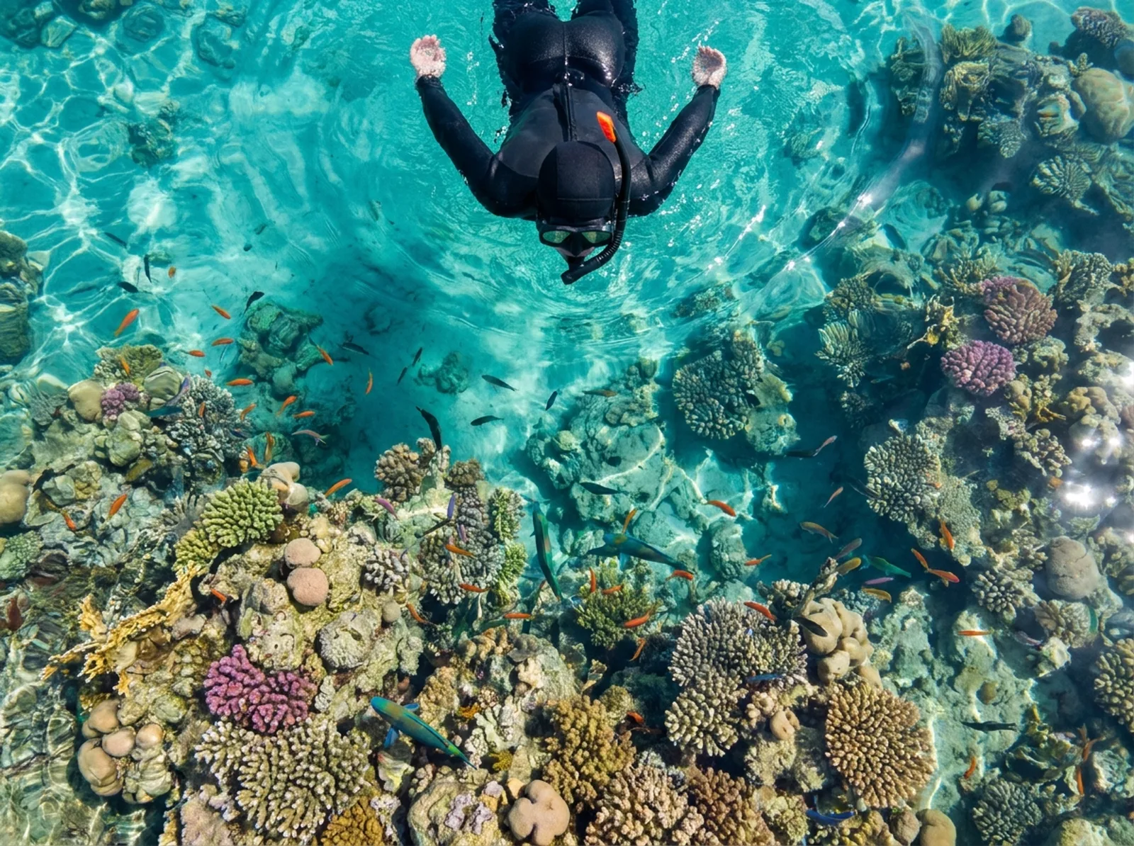 Osoby pływające z maską przy rafie koralowej snorkelingu